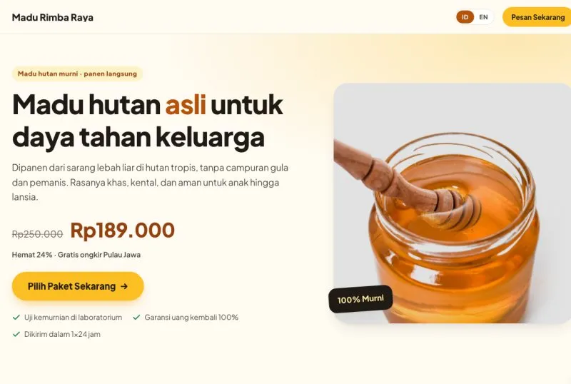 Tampilan theme Landing Page 1