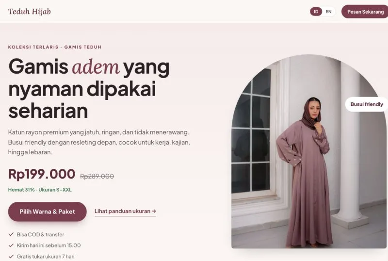 Tampilan theme Landing Page 2