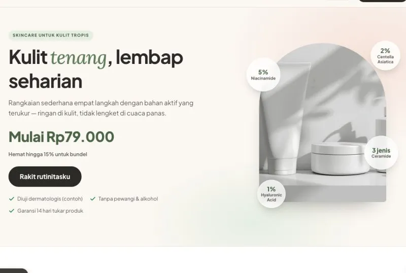 Tampilan theme WordPress Landing Page 5