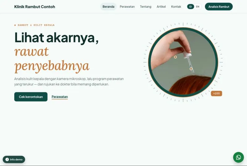 Tampilan theme WordPress Klinik Rambut Rontok