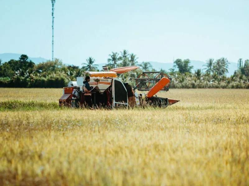 Combine Harvester