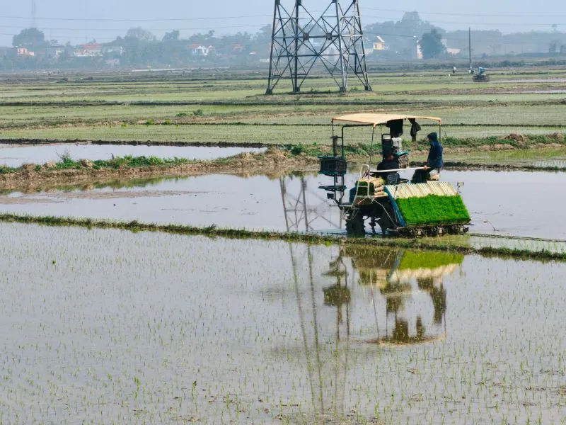 Rice Transplanter