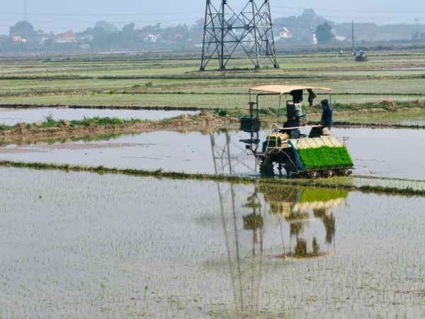 Rice Transplanter