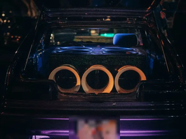 Subwoofer 12" + Box