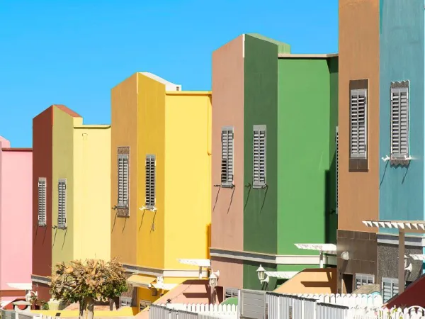 Cat Rumah Baru