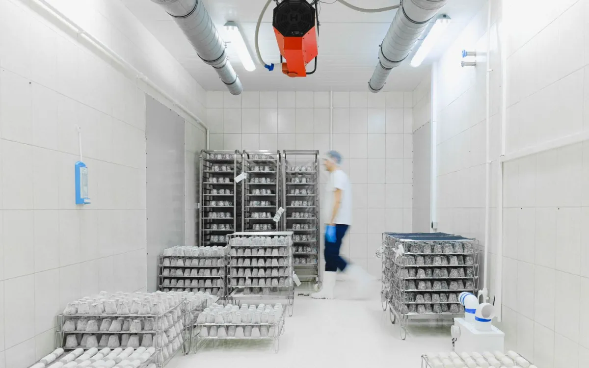 3 pertanyaan yang sering diajukan seputar cold storage & gudang pendingin