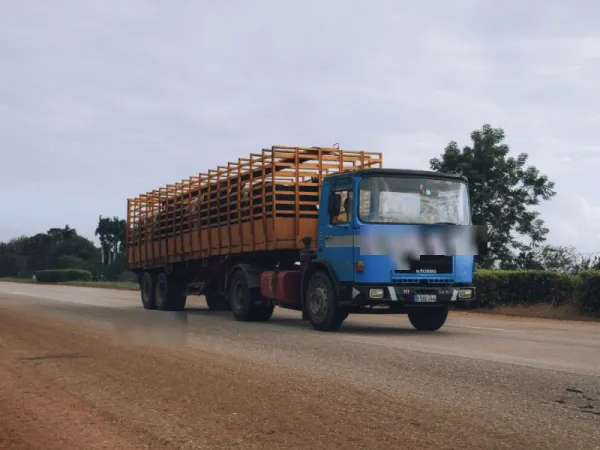 Truk Engkel Bak Kayu