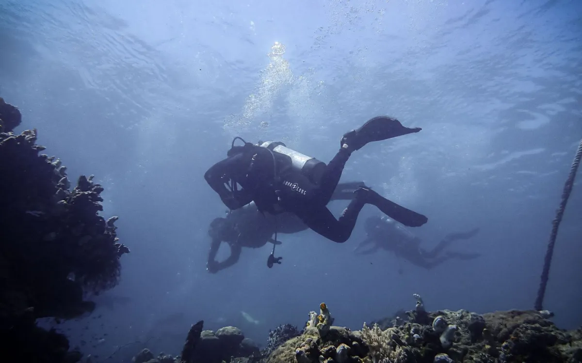 3 pertanyaan yang sering diajukan seputar dive center