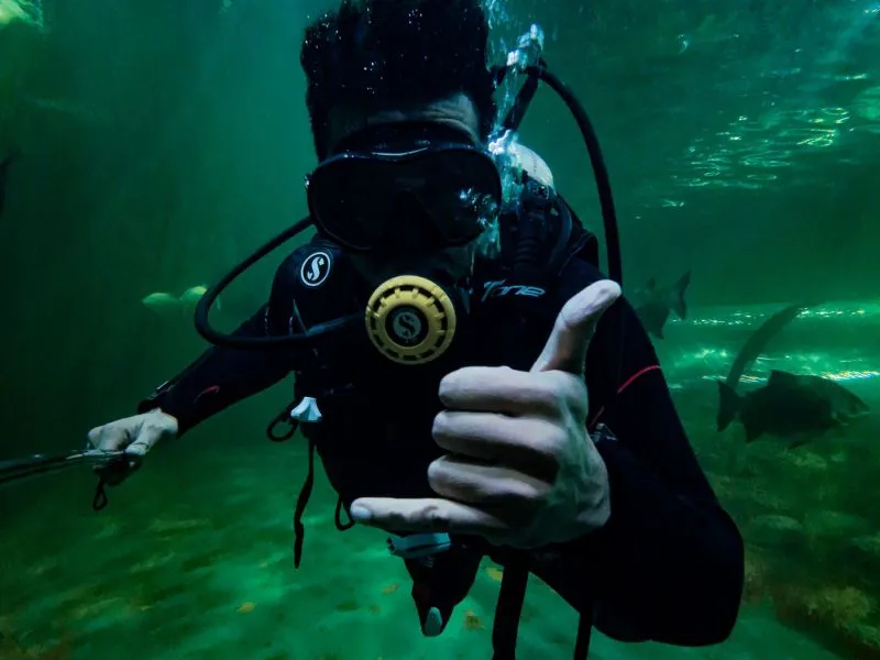 Discover Scuba Diving