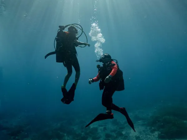 Open Water Diver