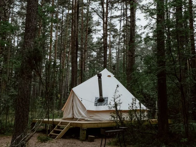 Tenda Hutan Pinus