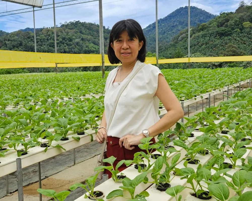 Air yang sama, diputar berulang