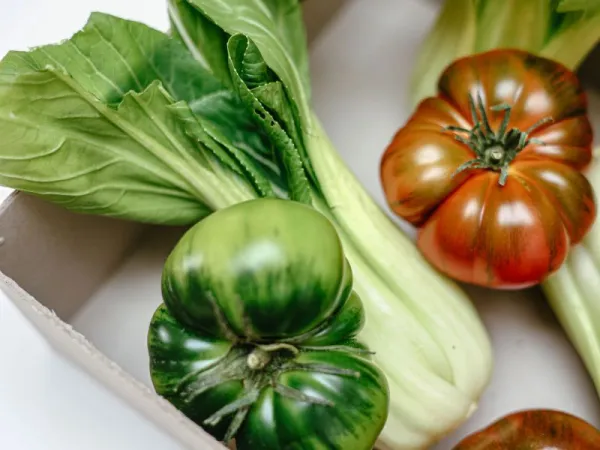 Tomat Heirloom