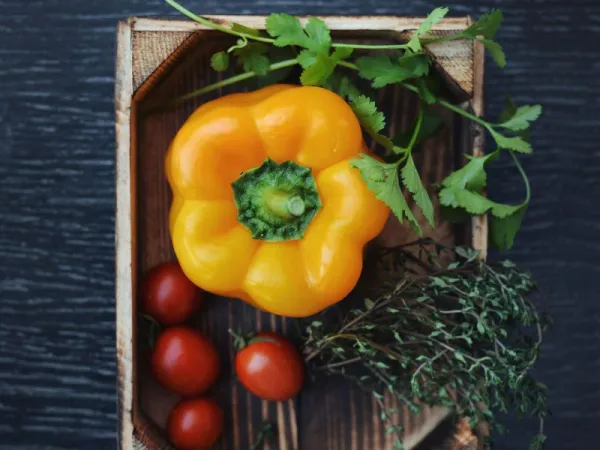 Paprika Kuning