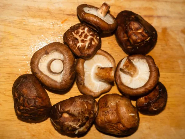 Shiitake Kering