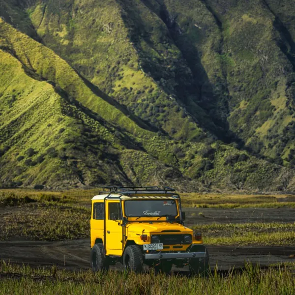 Savana Bukit Teletubbies