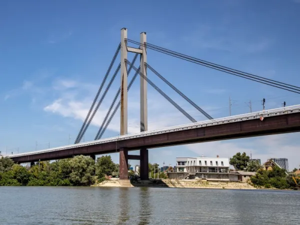 Jembatan Cable Stayed Contoh