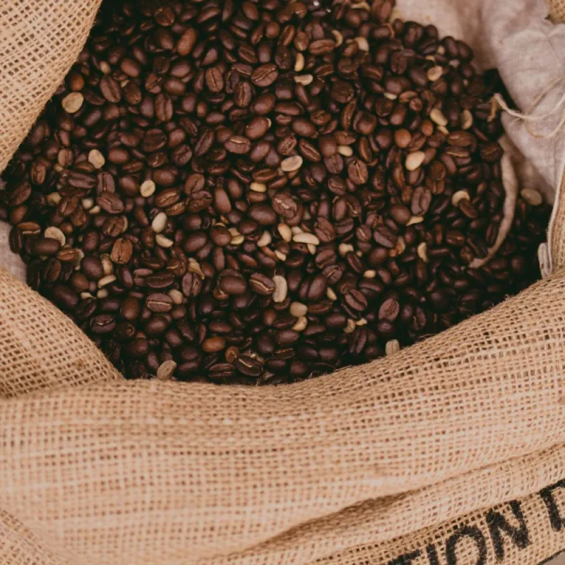 Robusta Pilihan