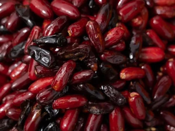 Kurma Ajwa