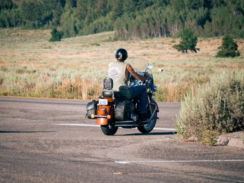 Cruiser 1600