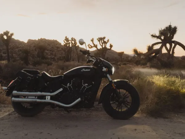 Cruiser 650