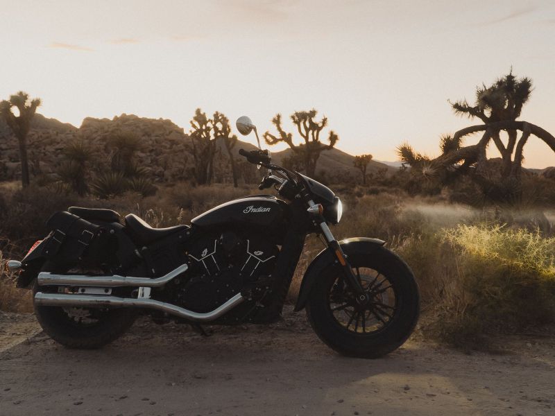 Cruiser 650