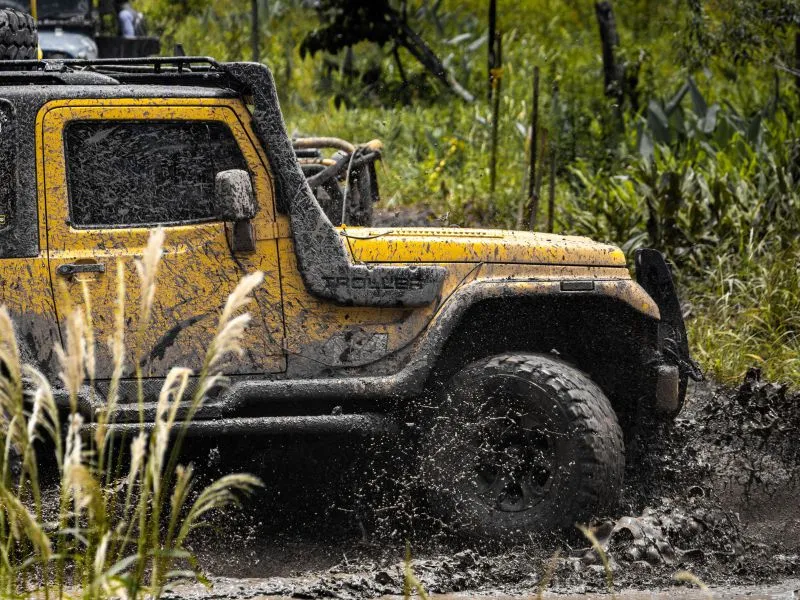 Snorkel