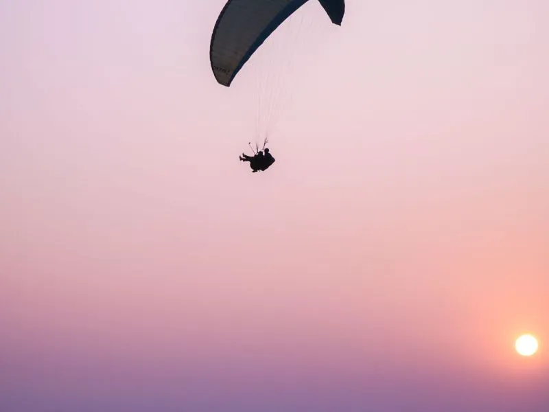 Terbang Senja