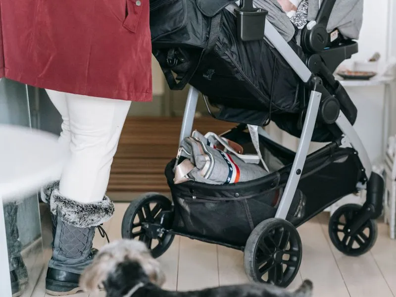 Stroller Kabin