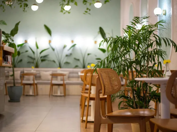 Interior kafe