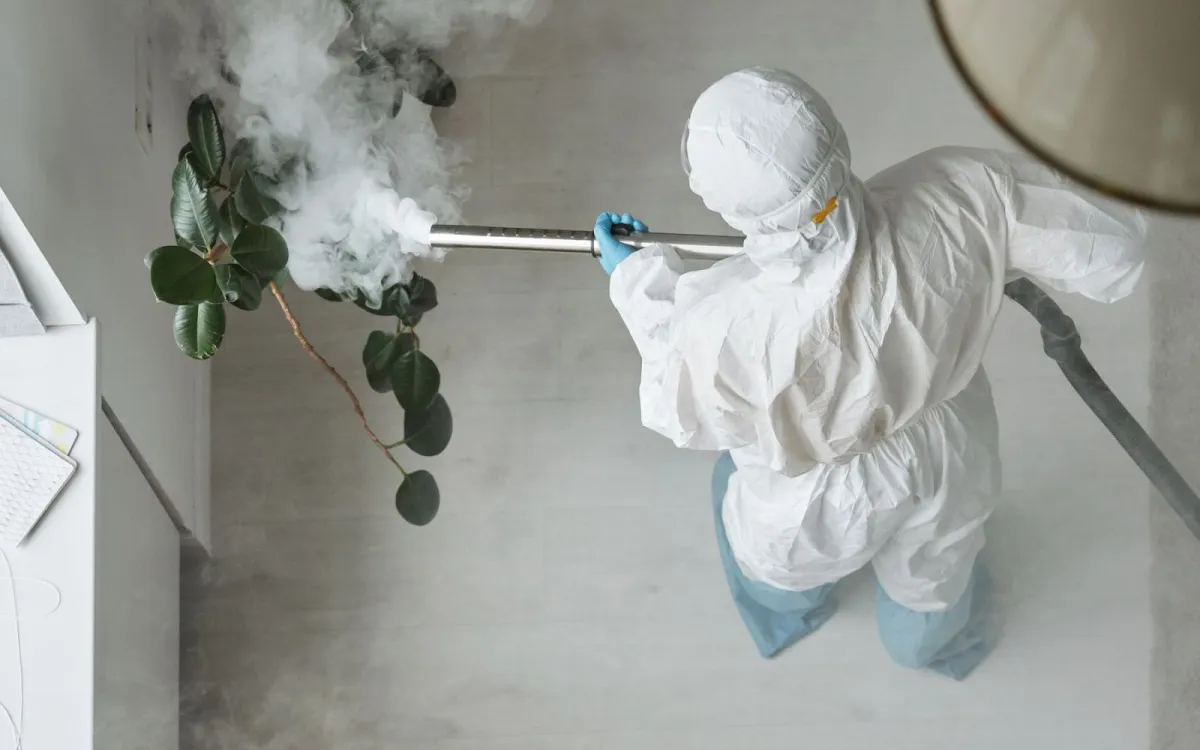 3 pertanyaan yang sering diajukan seputar pest control