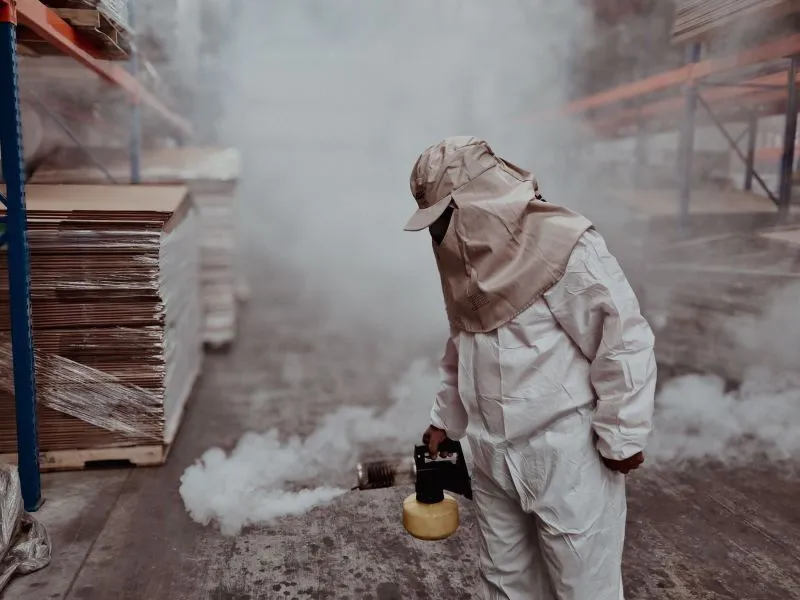 Fogging Nyamuk