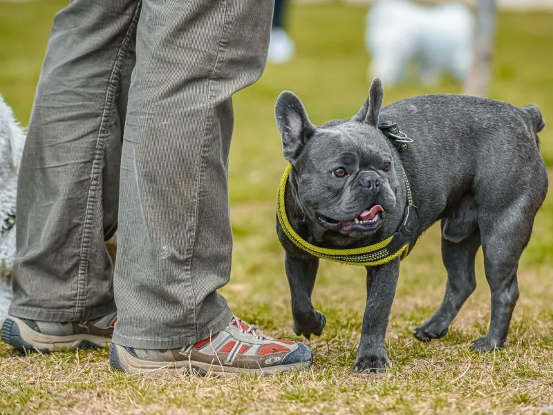Jalan Tanpa Menarik