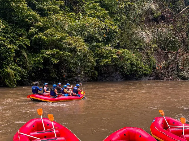 Trek Hutan