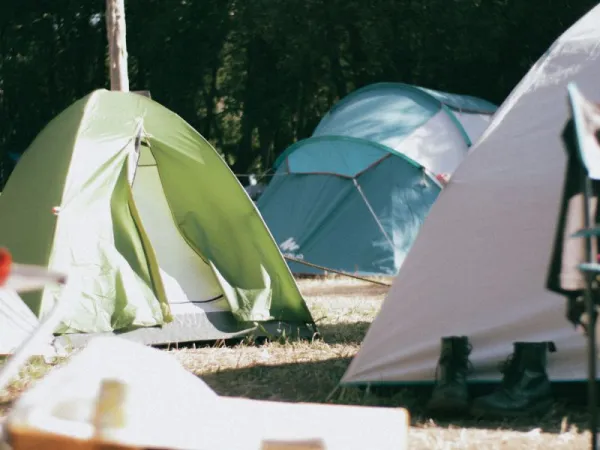 Tenda Dome 4 Orang