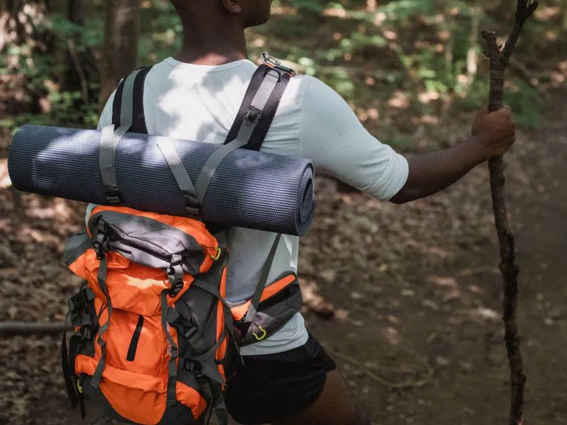 Carrier 60 L