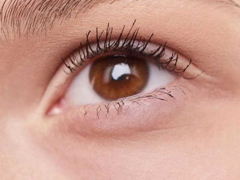 Eyeliner Tipis