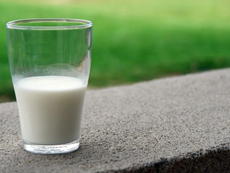 Susu Segar Pasteurisasi