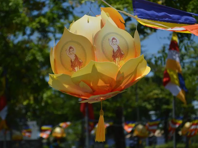 Festival Lampion Teratai