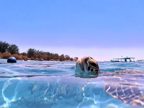 Gili Meno