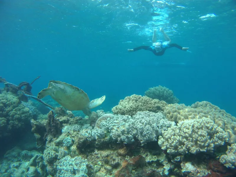 Snorkeling 3 Gili