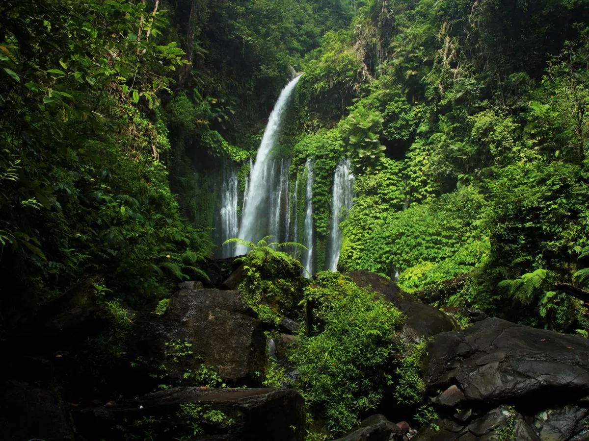 Air Terjun Tiu Kelep